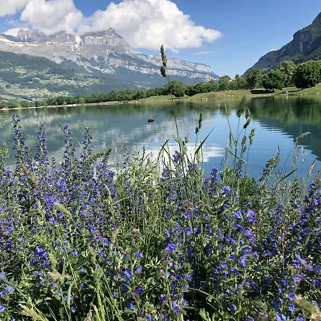 Le Moulin Des Olirics * سالونش