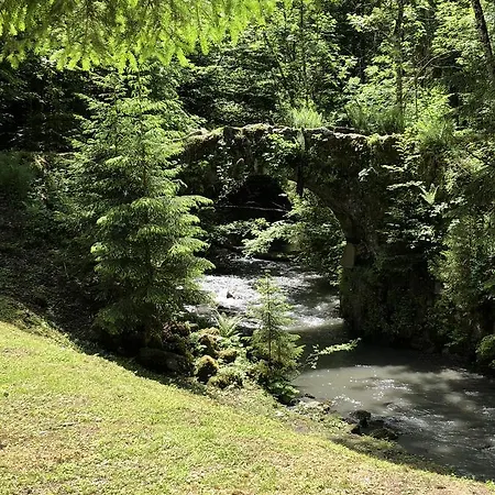 شاليه Le Moulin Des Olirics سالونش