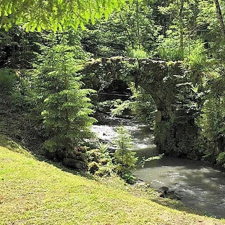 Chalet Le Moulin Des Olirics *