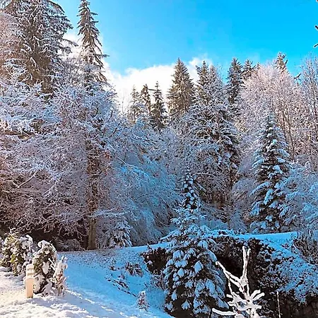 Chalet Le Moulin Des Olirics Sallanches