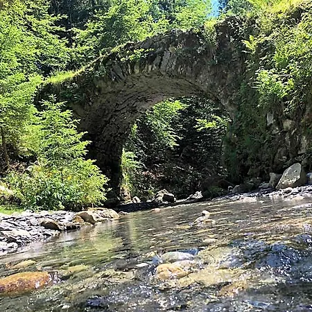 Le Moulin Des Olirics Chalet