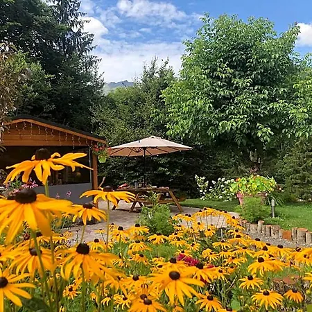 Le Moulin Des Olirics *