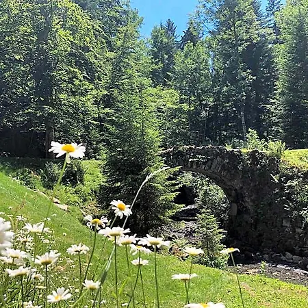 Chalet Le Moulin Des Olirics