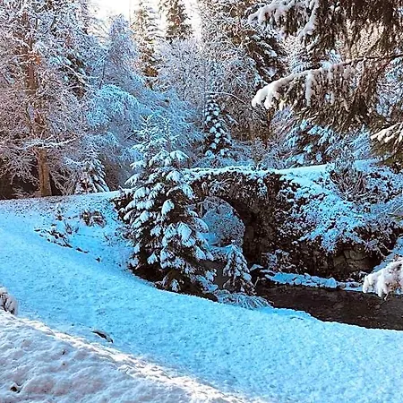Chalet Le Moulin Des Olirics *