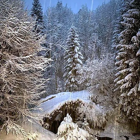 Le Moulin Des Olirics * Sallanches