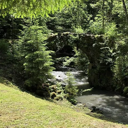 Шале Le Moulin Des Olirics Салланш