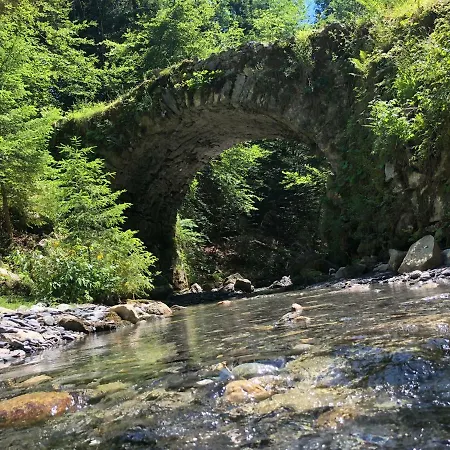 Le Moulin Des Olirics