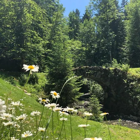 Le Moulin Des Olirics Sallanches