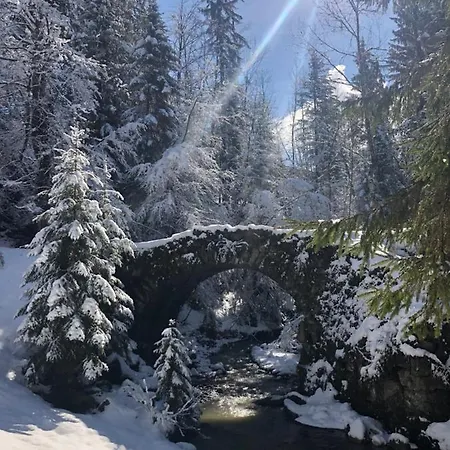 Le Moulin Des Olirics Sallanches