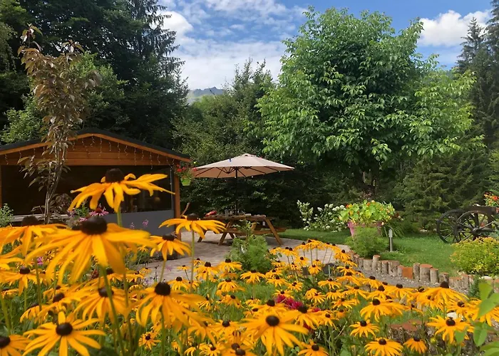 Le Moulin Des Olirics * Салланш