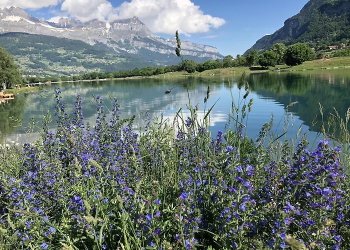 Le Moulin Des Olirics * Sallanches