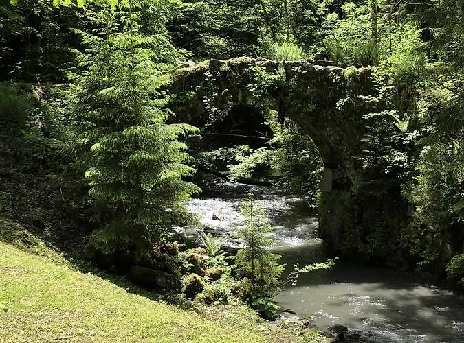 Alpesi faház Le Moulin Des Olirics Sallanches