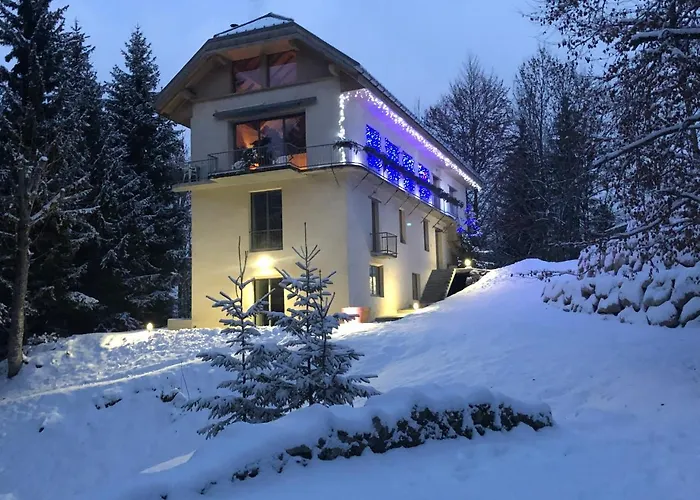 Шале Le Moulin Des Olirics Салланш
