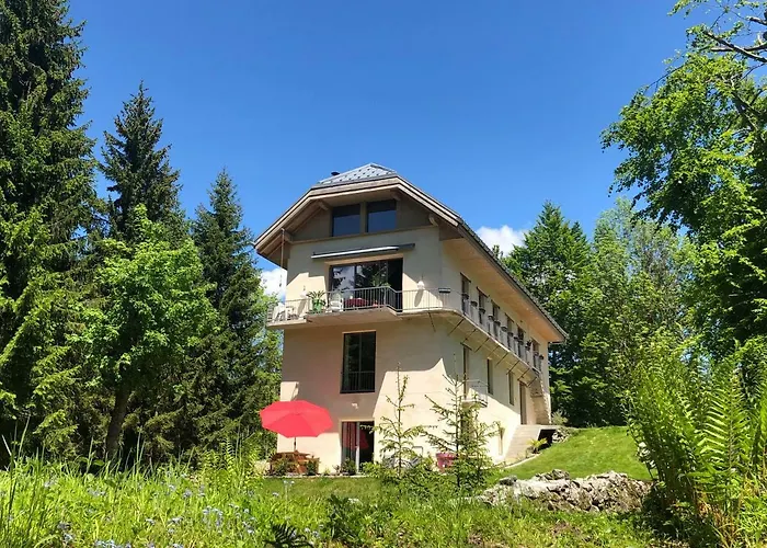 Le Moulin Des Olirics *