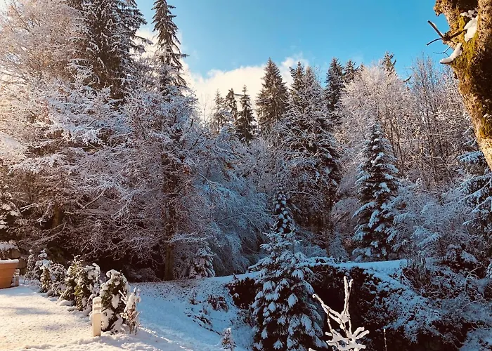 Le Moulin Des Olirics * Sallanches